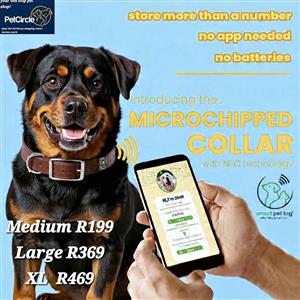Microchipped  leather dog collars