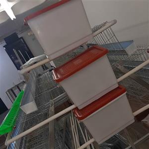 Chicken cages 96 capacity