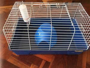 Guinea pig cage and accessories 
