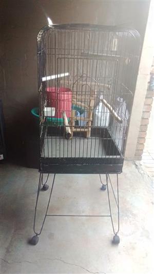 Birds cage