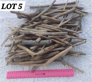 Driftwood Pieces and Logs Lot 5