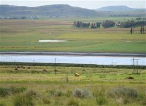 Farm For Sale in CLARENS