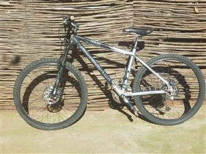 silverback phoenix mountain bike