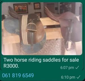 Horse riding saddle and reins