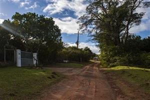 Vacant Stand For Sale in Bathurst