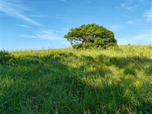 Seaton Estate: Exclusive Coastal Living on the KZN North Coast