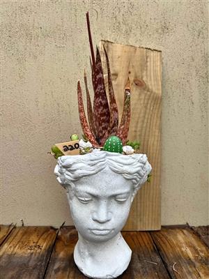 Female head planter with succulents