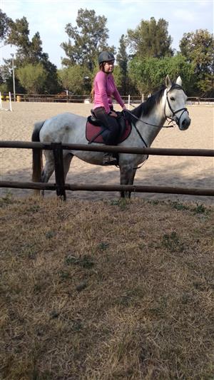 Riding lessons for all 