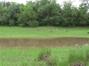 Farm For Sale in Rietbokspruit AH