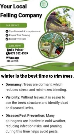 Tree services