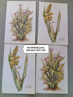 Pat Whitfield prints