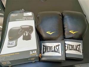 Everlast Pro Style 14 Oz Boxing Gloves, and bag 