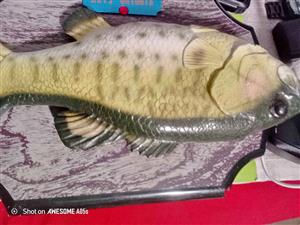 6V ELECTRONIC SINGING FISH|DISPLAY (some bit of TLC needed)