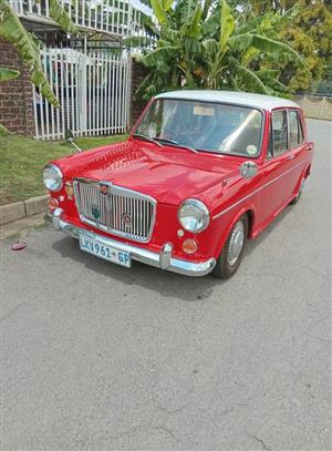 Mg