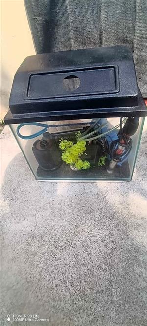 Complete Fish tank for sale