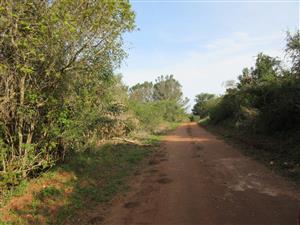 Vacant Stand For sale in Bathurst