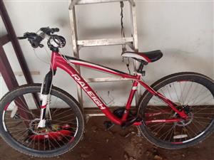 Ladies 21 speed Raleigh mountain bike with acesories