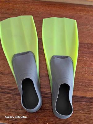 Flippers
