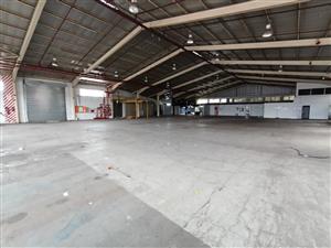 Industrial Rental Monthly in Westmead