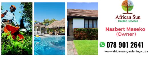 Pool Services & Tree Felling For You