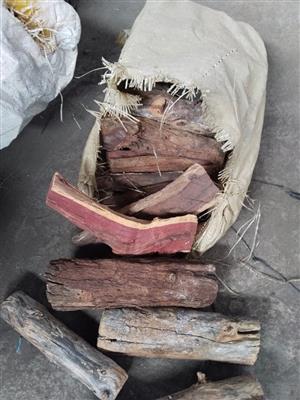 Namibian Kameel doring firewood