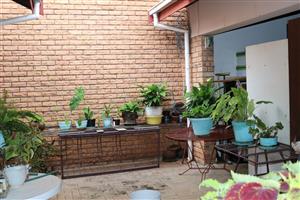 House For Sale in Mookgopong