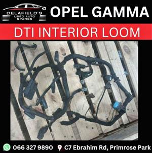 Gamma 1.7 DTI Injector Loom