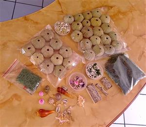 Unique Coastal Craft Supplies for Sale