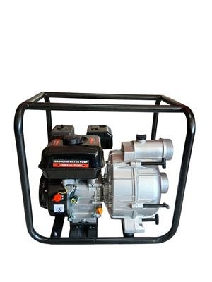 Trash / Sewage Pump