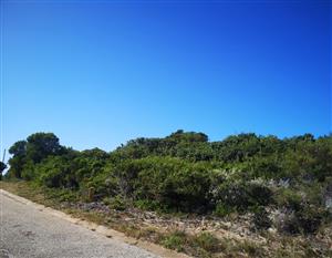 ELEVATED STAND WITH BEAUTIFUL VIEWS