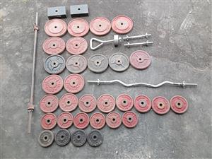 Gym Weights and Bars