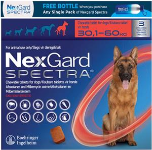 Enjoy 12% Off for NexGard XL Dogs | GET Free Bottle!			