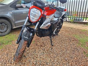 2024 SUZUKI GSX 155