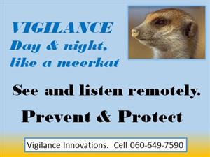 SECURITY CAMERAS