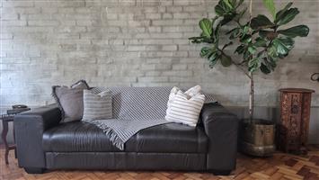 Coricraft Terry 2-Seater Genuine Leather Couch