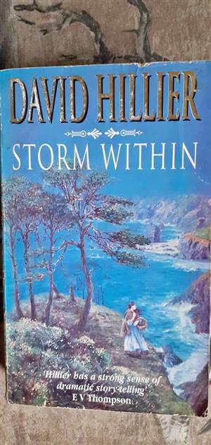 Storm Within - David Hiller