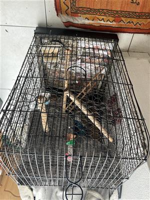 Bird Cages x 2