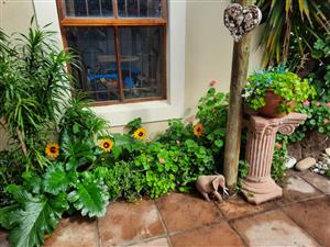 Parklands Table View Cape Town Single furnished room