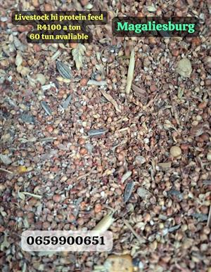 Feeds available