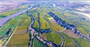 Farm For Sale in Kanoneiland