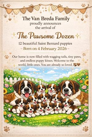 Saint Bernard puppies