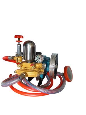 Piston Pump RS 30 co