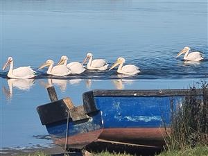 Your Beachside Paradise Awaits in Atlantic Sands North