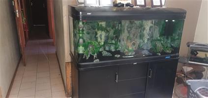2 fish tanks for sal good condition 
