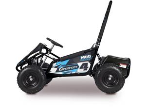 1000w48vElectric go-karts for sale