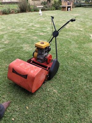 Lawnmower: Robin professional