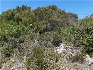 Vacant Land With Views - Paradise Beach - Jeffreys Bay