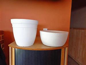 Gorgeous cement planters