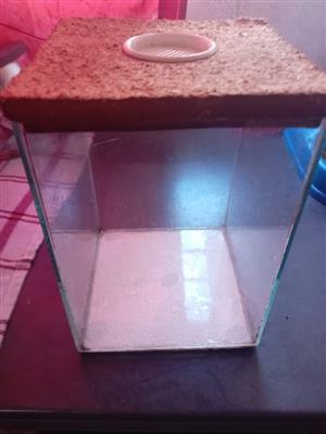 Tarantula Terrium/Tank for sale centurion