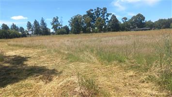 Vacant Land Agricultural For Sale in Homestead Apple Orchards A H